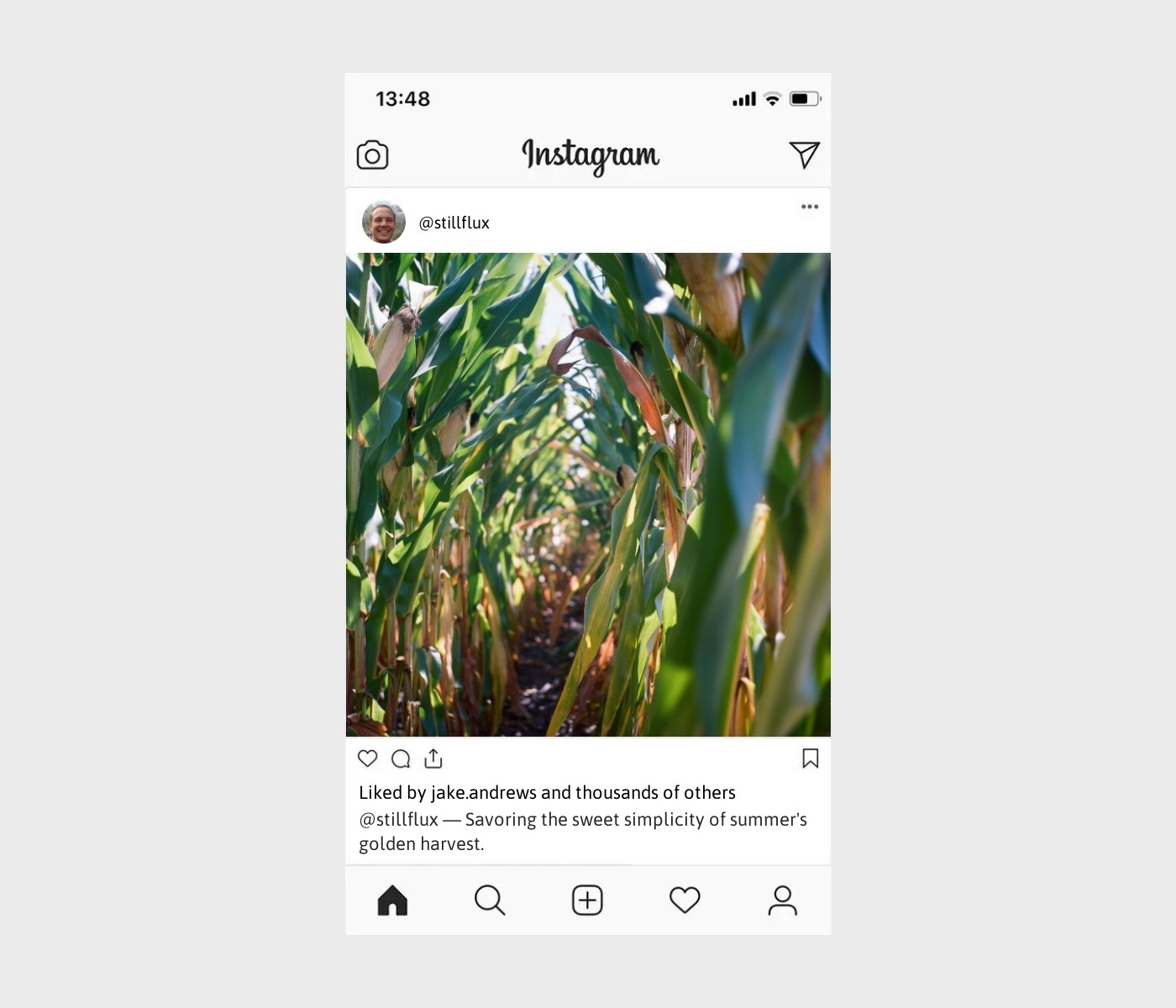 corn-captions-for-instagram