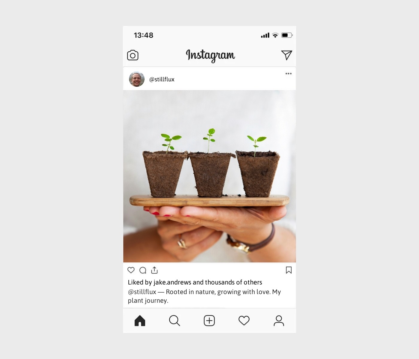 plant-captions-for-instagram