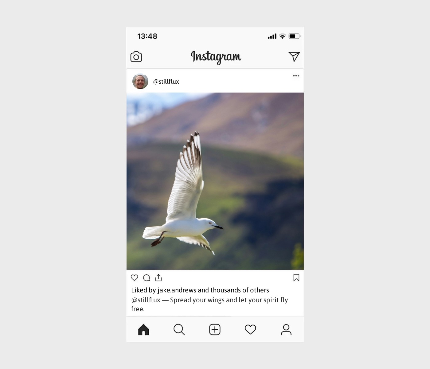 wings-captions-for-instagram