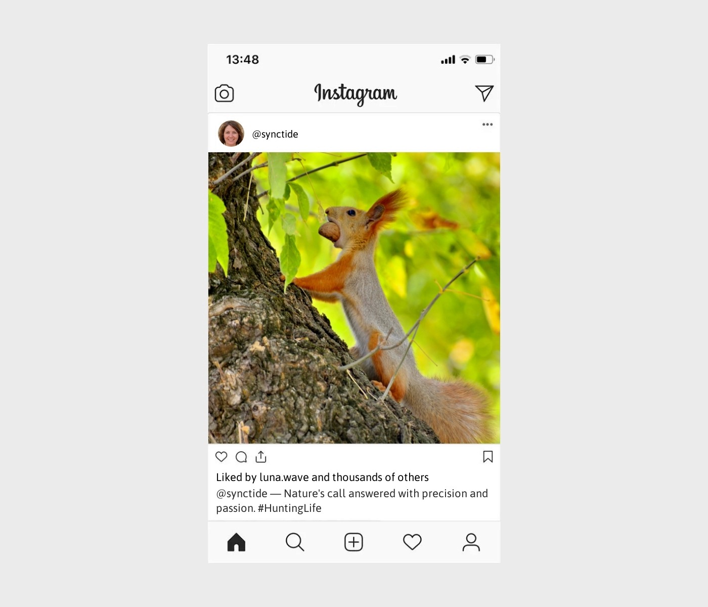 hunting-captions-for-instagram