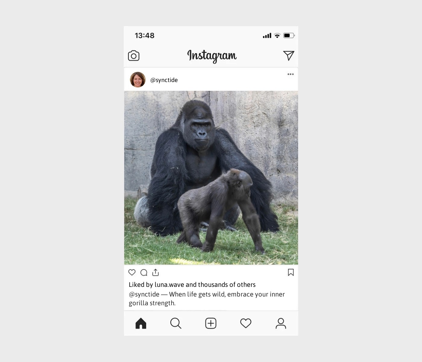 gorilla-captions-for-instagram