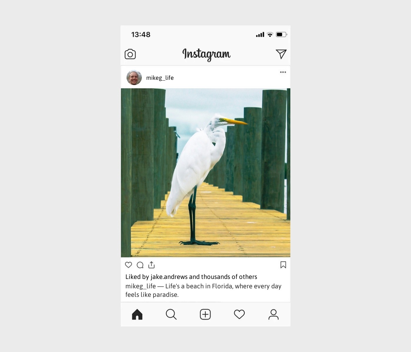 florida-captions-for-instagram