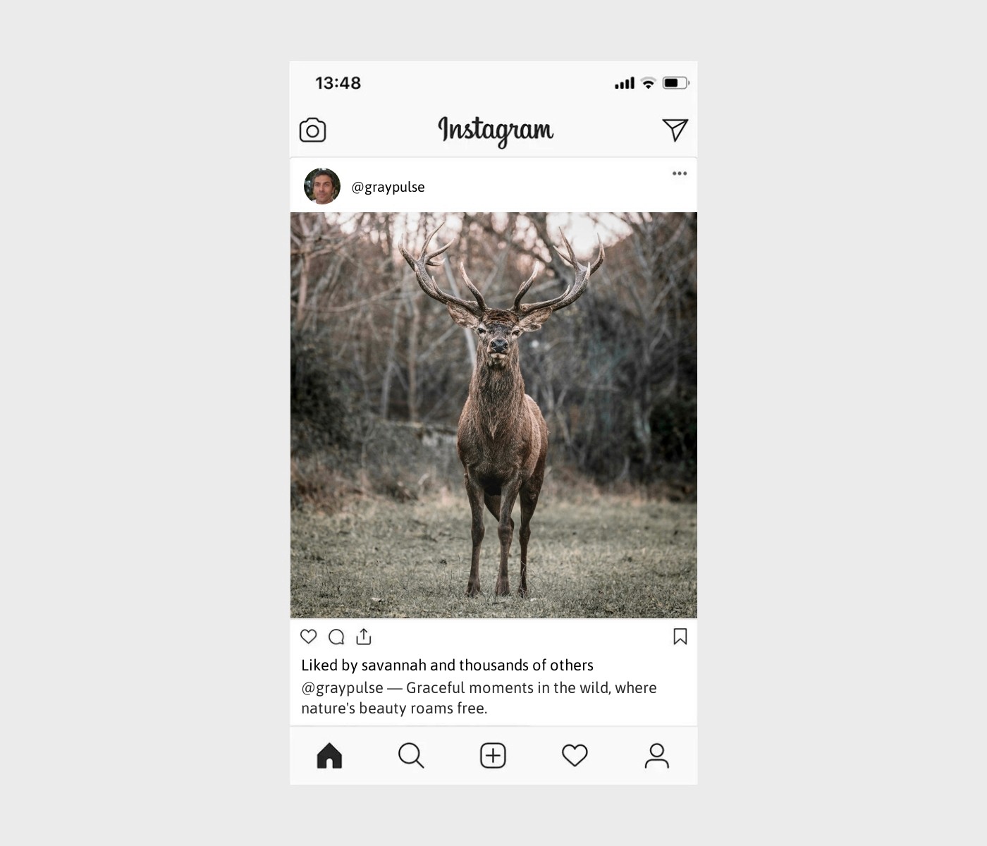 deer-captions-for-instagram