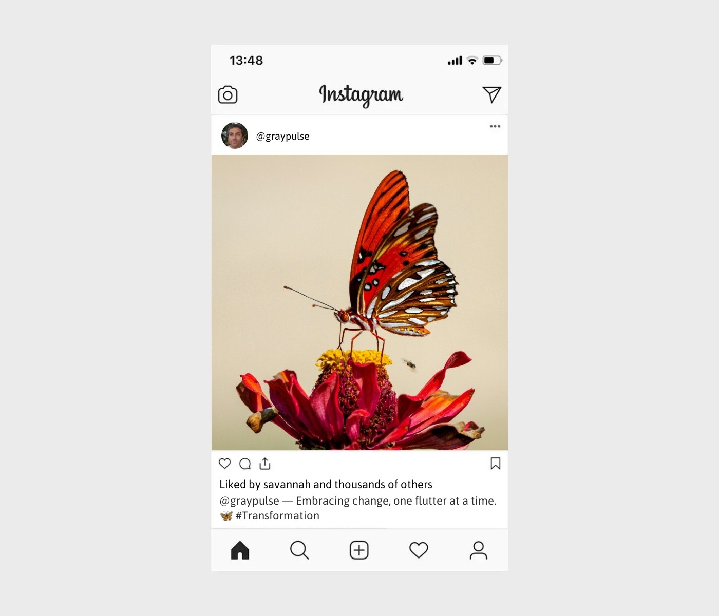 butterfly-captions-for-instagram