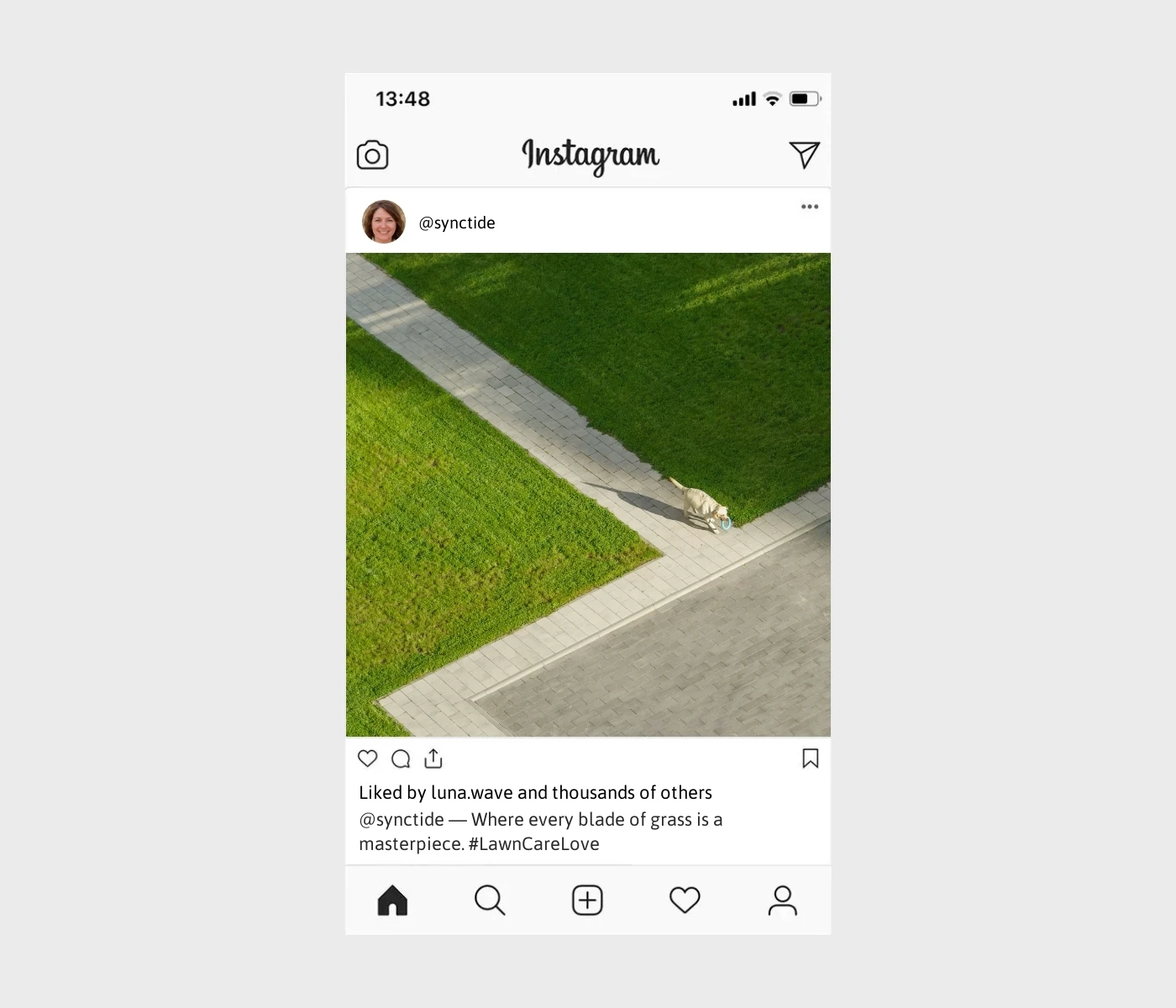 lawn-care-captions-for-instagram