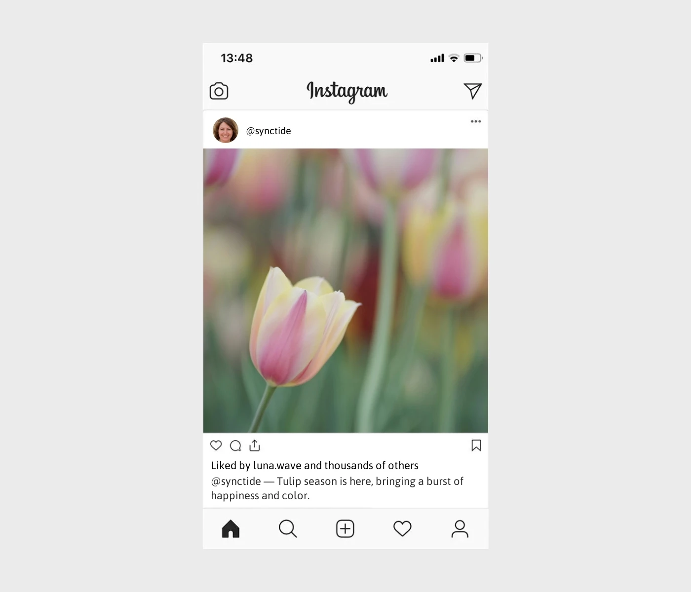 tulip-captions-for-instagram