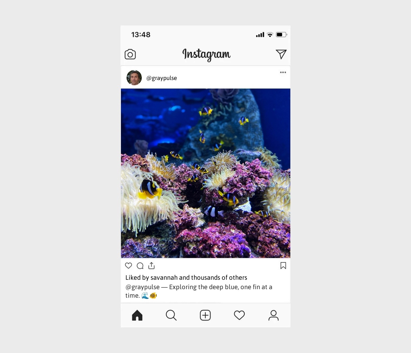 aquarium-captions-for-instagram