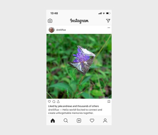 100+ Introduction Captions For Instagram To Inspire You - My Framer Site