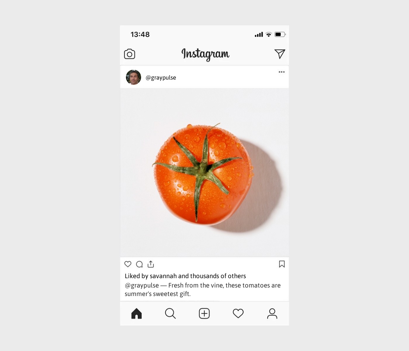 tomato-captions-for-instagram