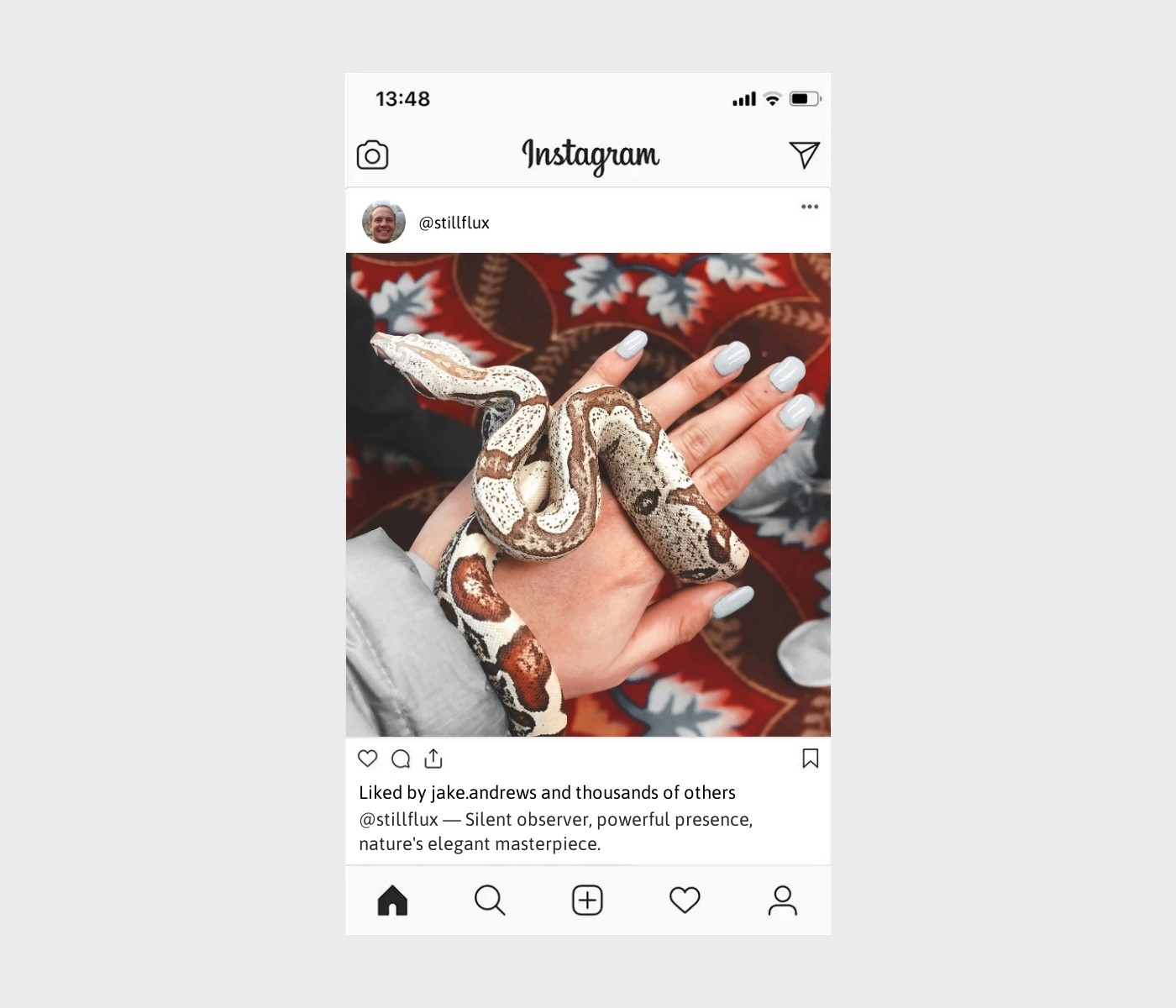 snake-captions-for-instagram