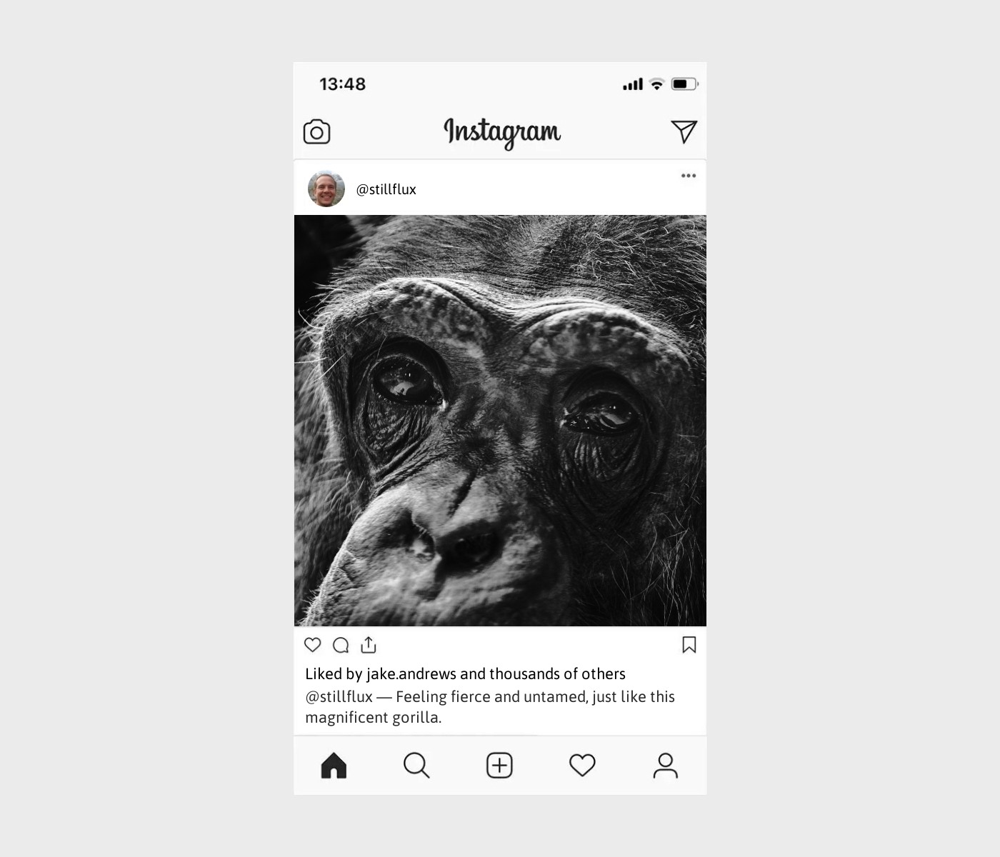 gorilla-captions-for-instagram