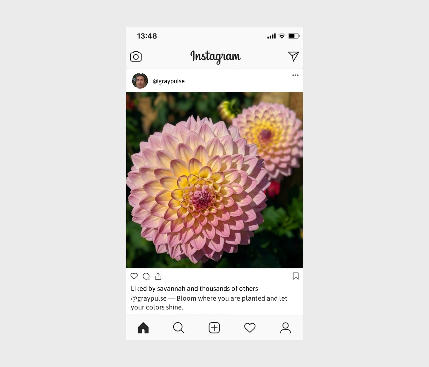 flower-garden-captions-for-instagram