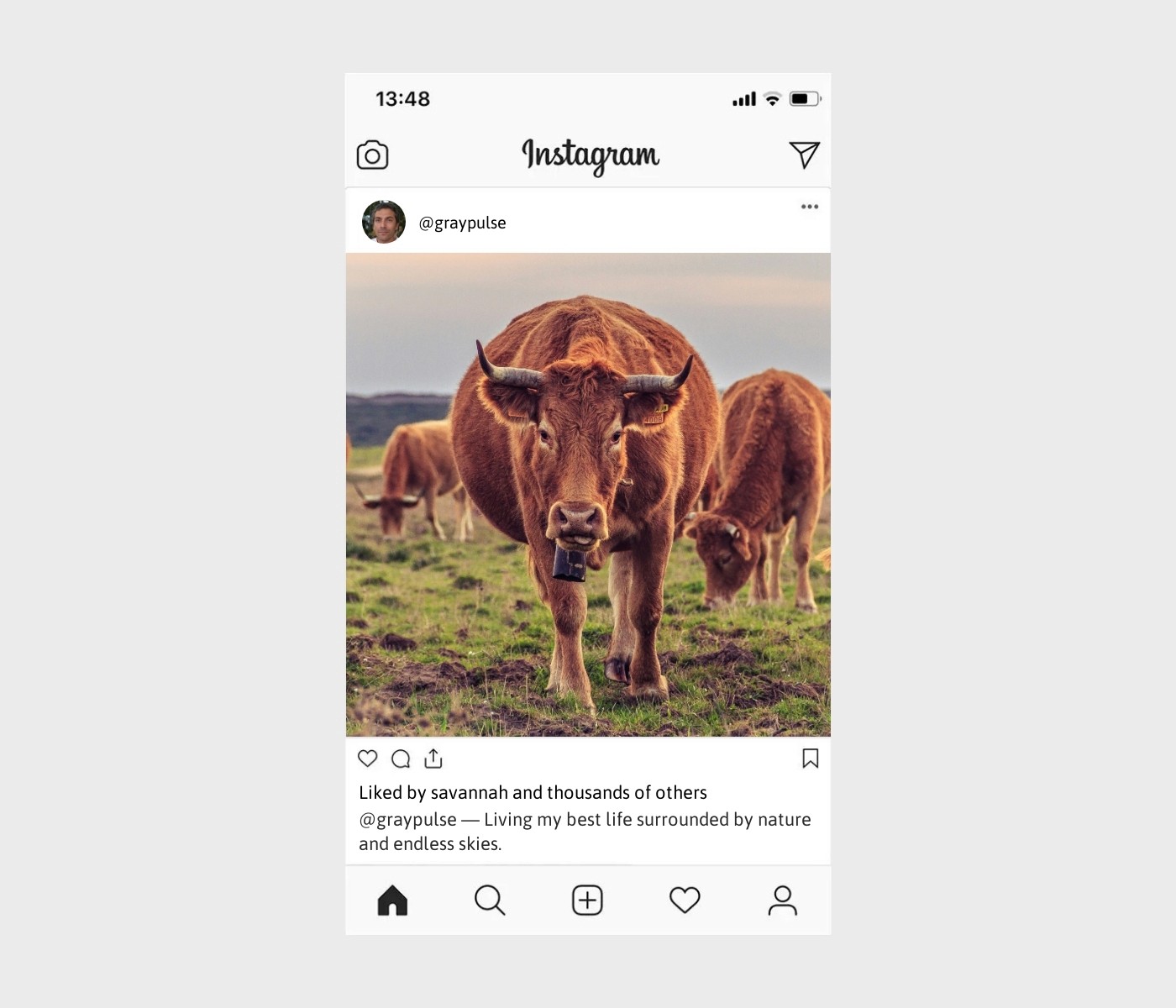 ranch-captions-for-instagram