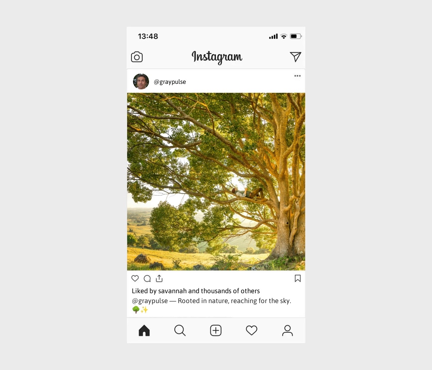 tree-captions-for-instagram