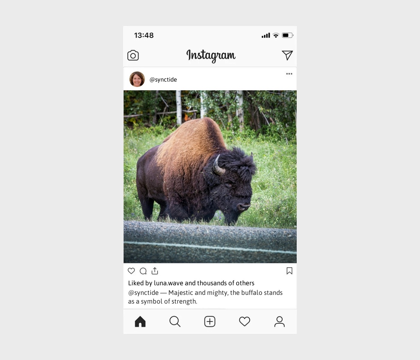 buffalo-captions-for-instagram