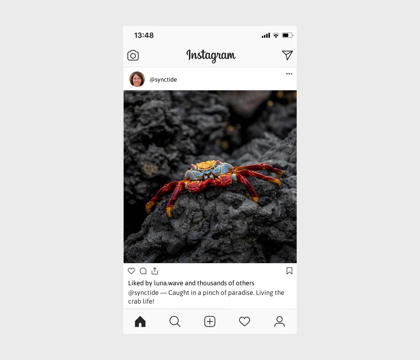 crab-captions-for-instagram