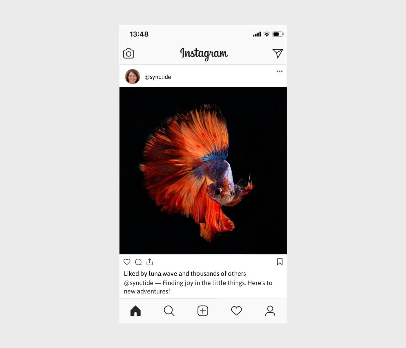 life-lately-captions-for-instagram