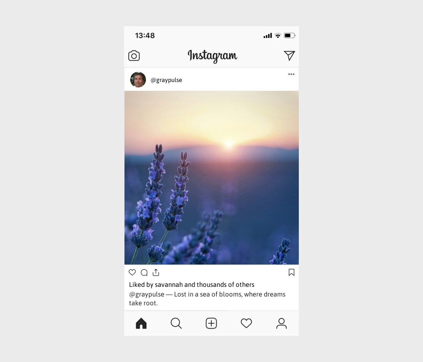 flower-field-captions-for-instagram