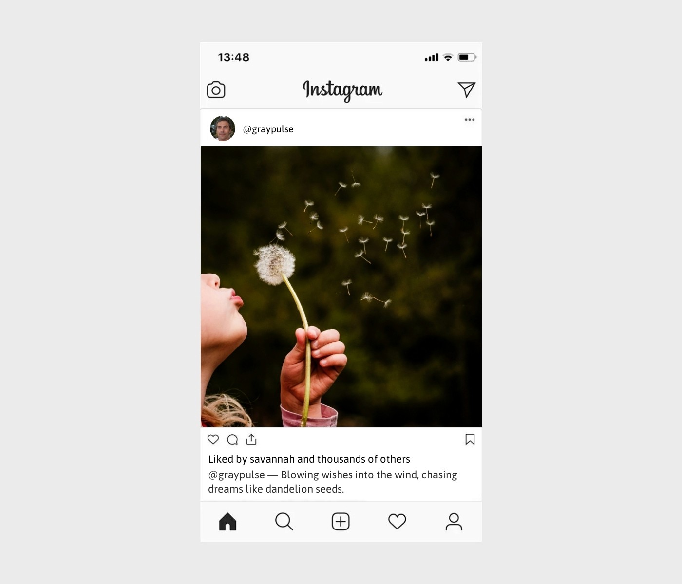 dandelion-captions-for-instagram