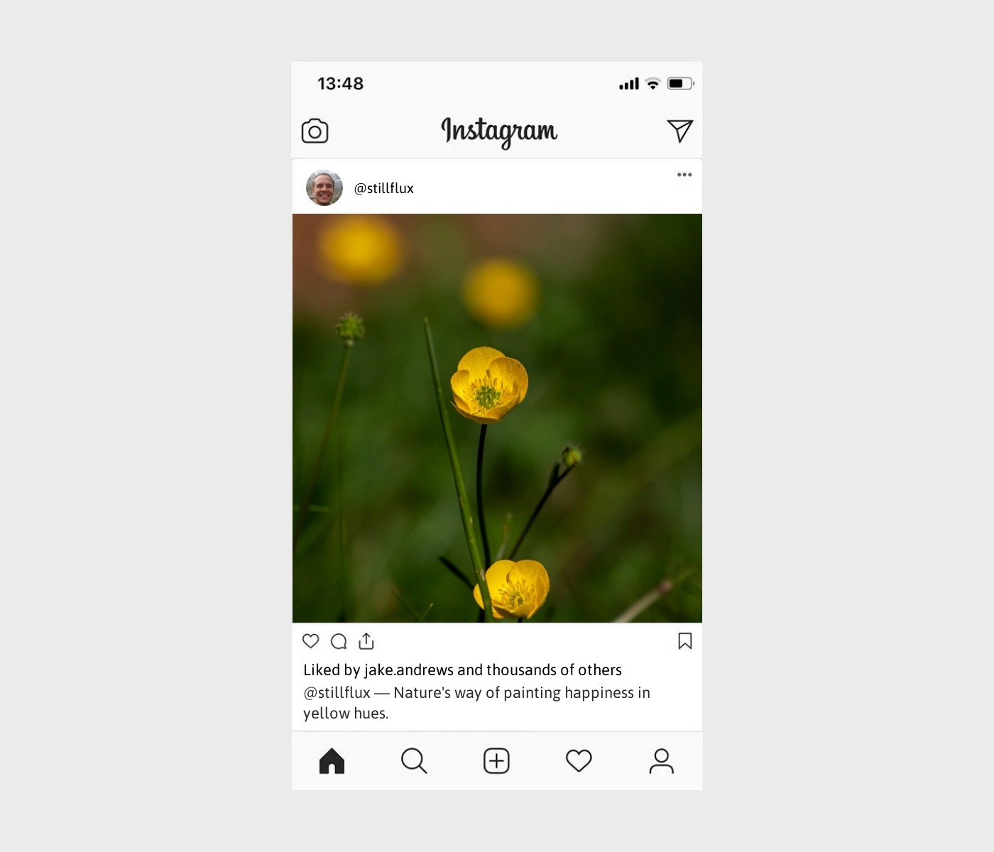 yellow-flower-captions-for-instagram