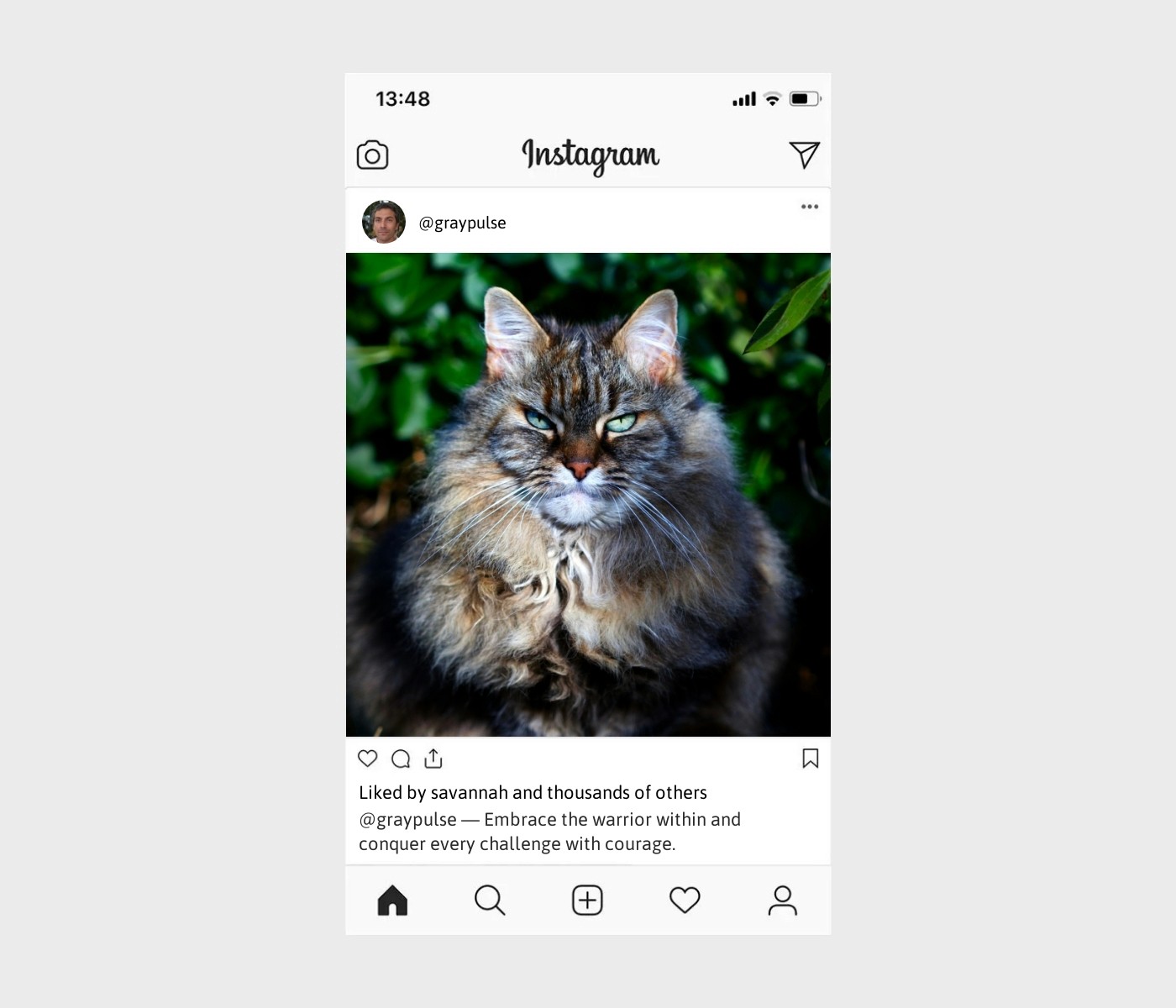 warrior-captions-for-instagram