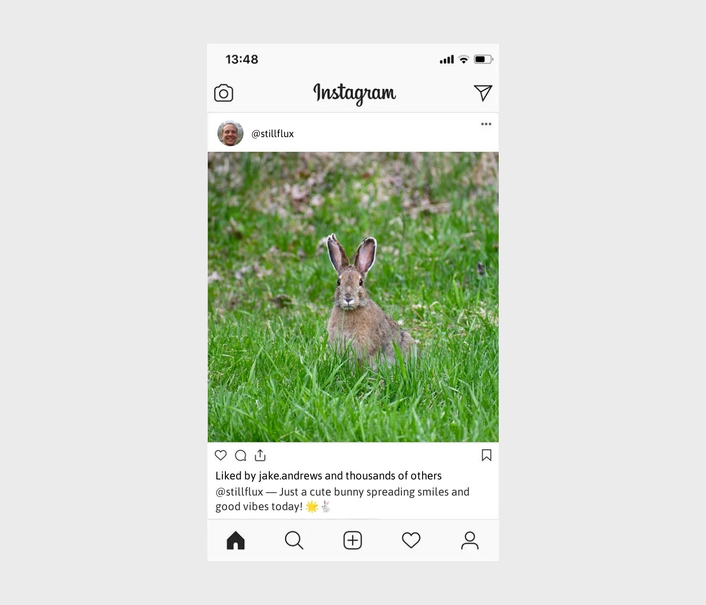 bunny-captions-for-instagram