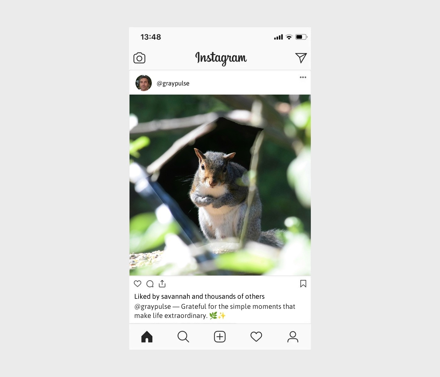 humble-captions-for-instagram