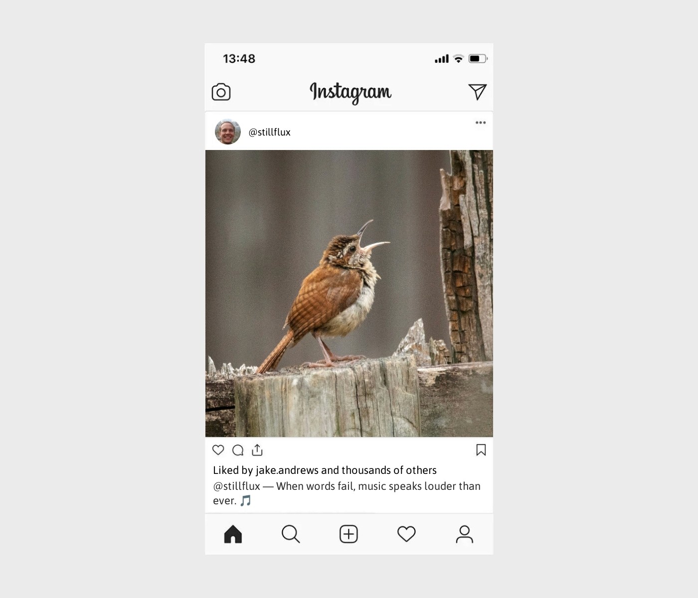 singing-captions-for-instagram