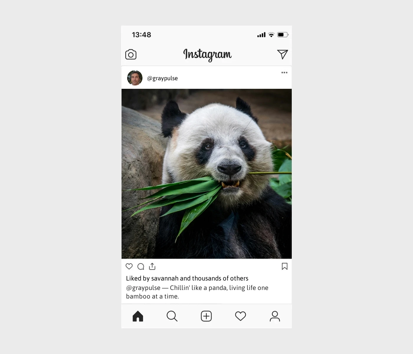 panda-captions-for-instagram