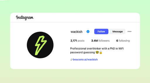 100+ Crazy Instagram Bios to Make You Stand Out - My Framer Site