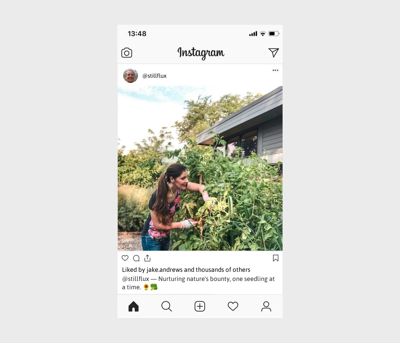 vegetable-gardening-captions-for-instagram