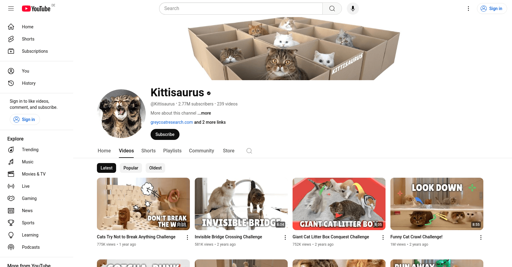 Top 10 Pet Youtubers to Watch in 2025 - My Framer Site