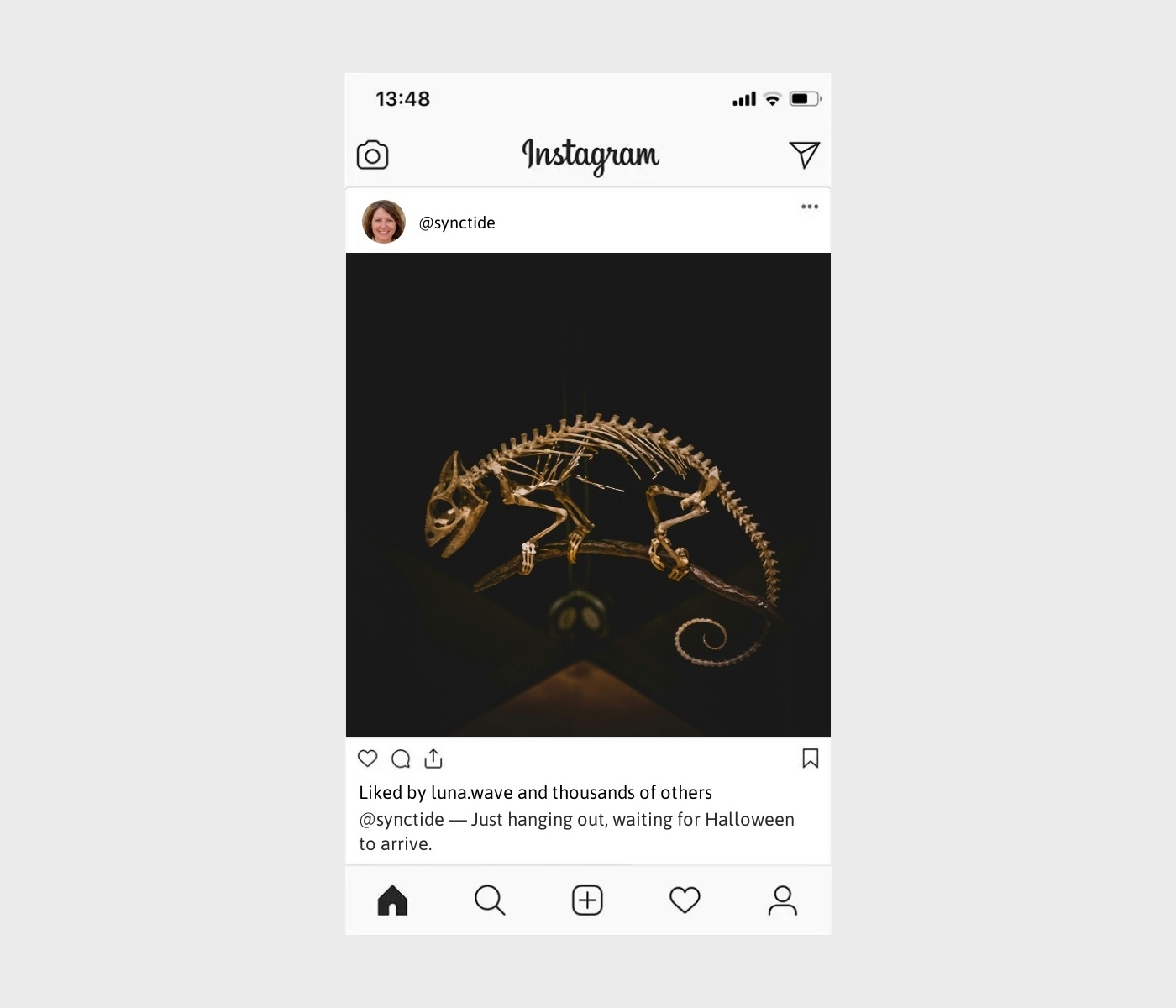 skeleton-captions-for-instagram