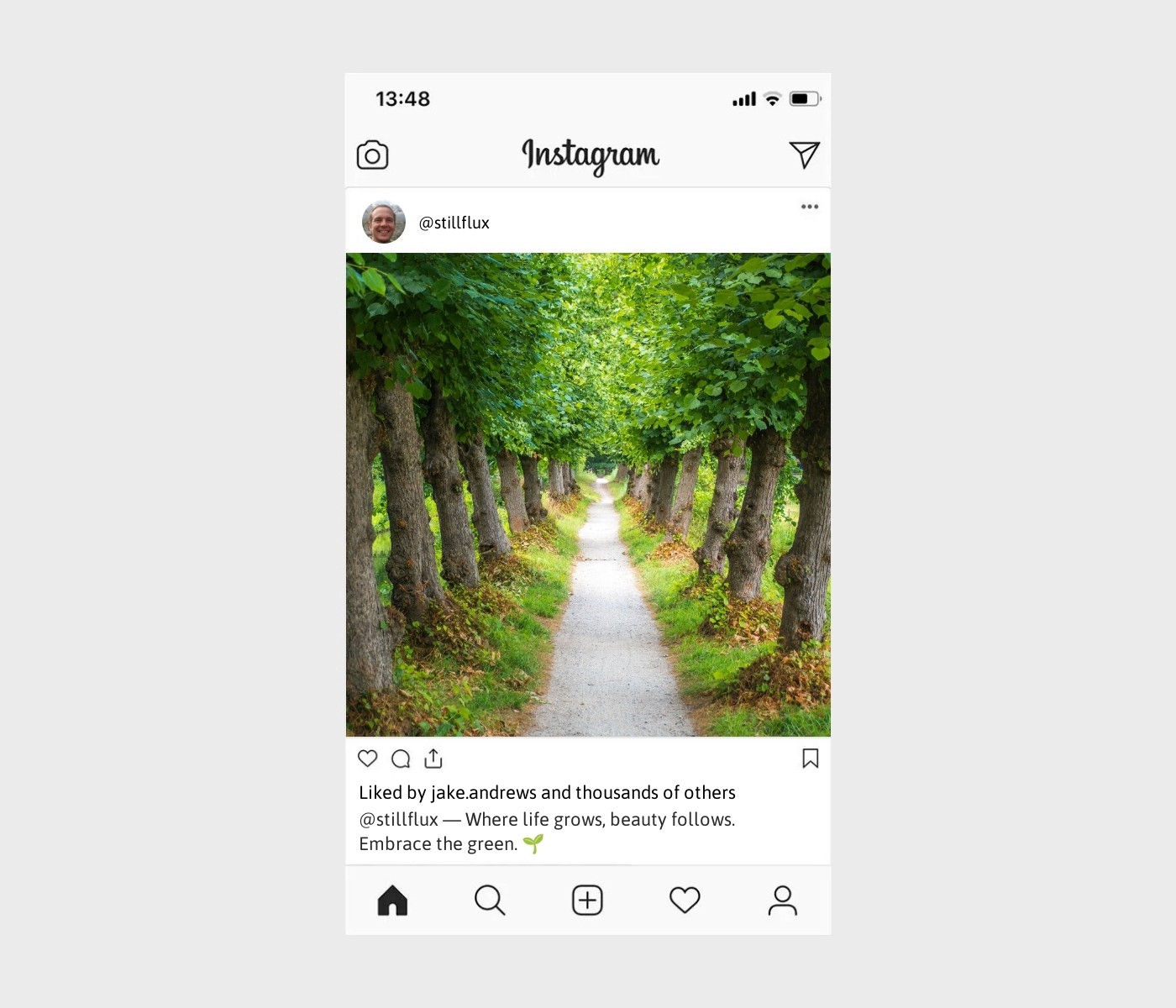 tree-captions-for-instagram