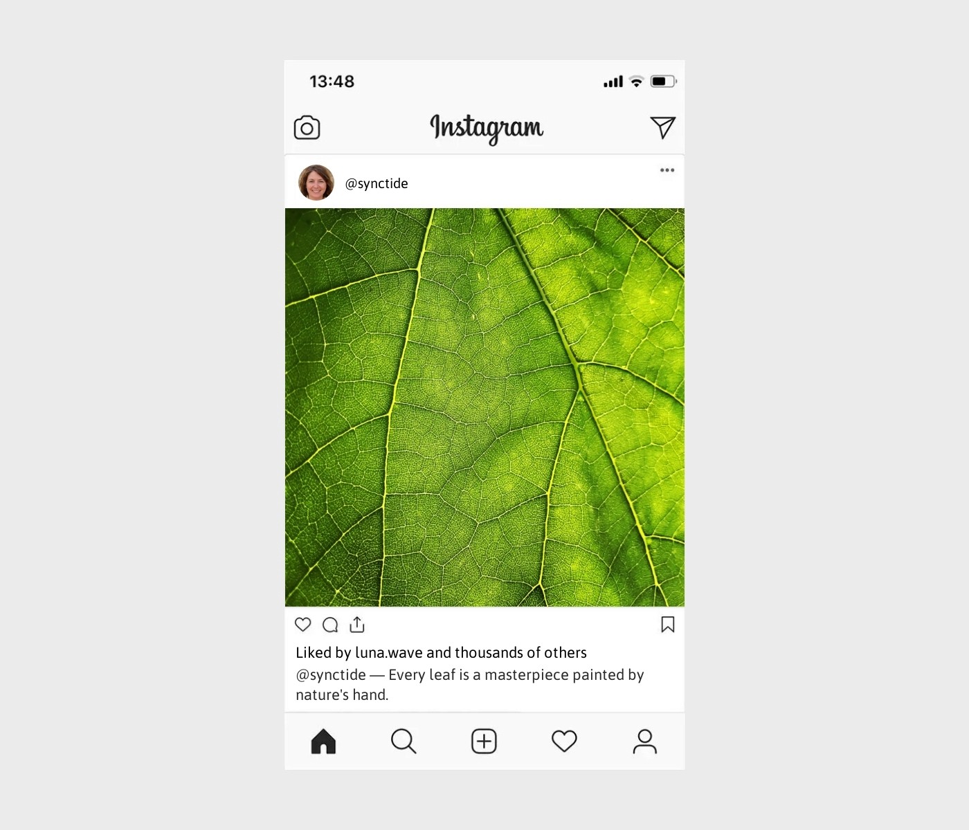 leaf-captions-for-instagram
