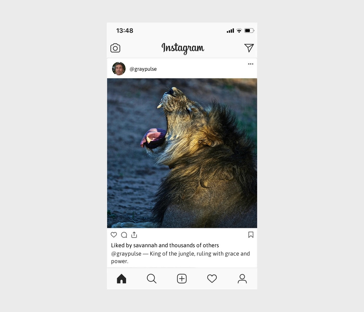 lion-caption-for-instagram