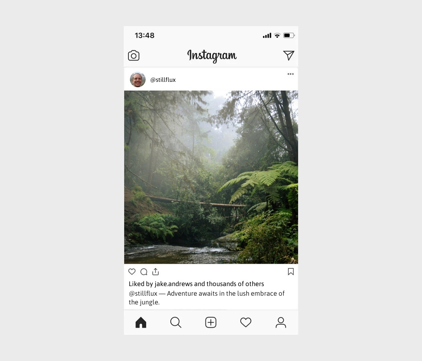 jungle-captions-for-instagram