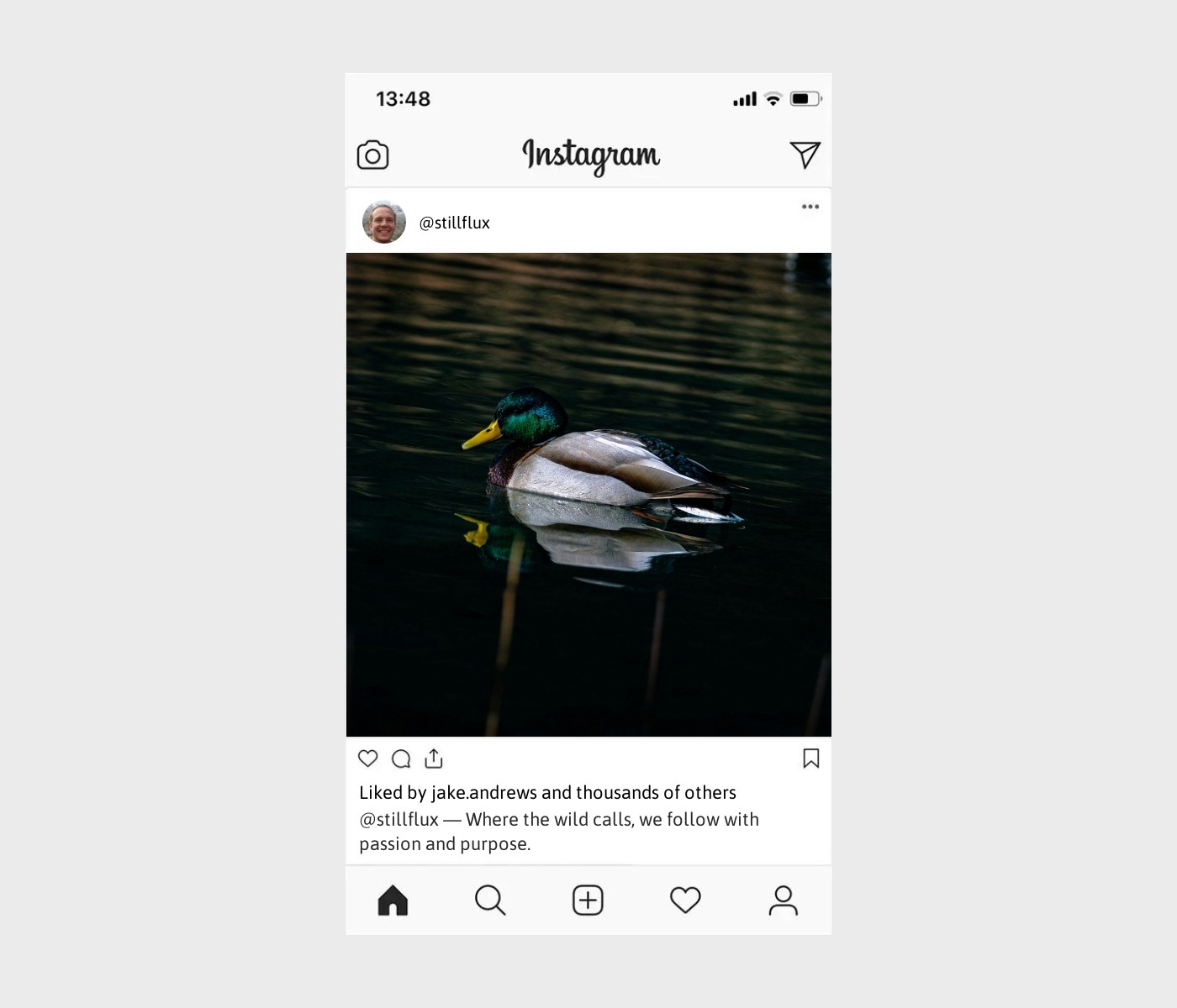 duck-hunting-captions-for-instagram