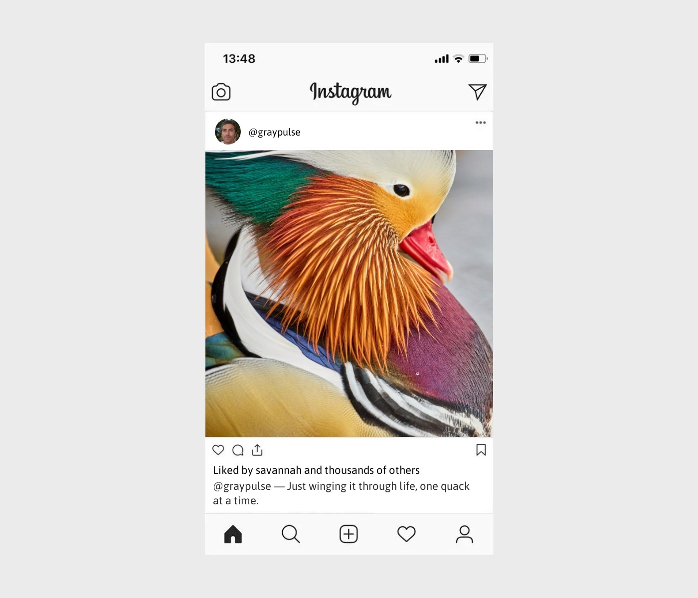 duck-caption-for-instagram