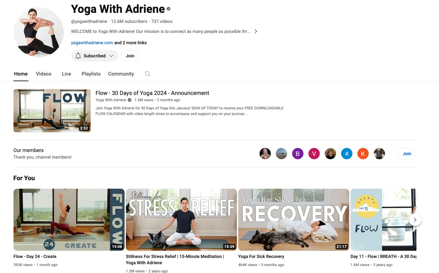 top youtube influencer channel