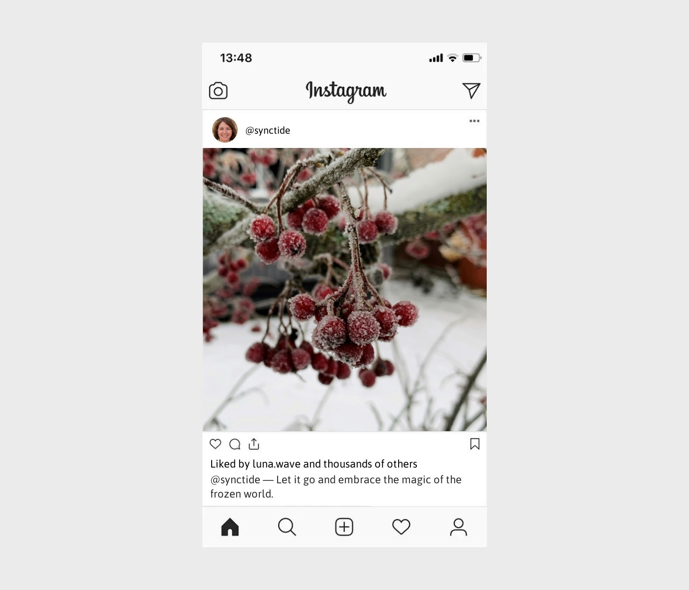 frozen-captions-for-instagram