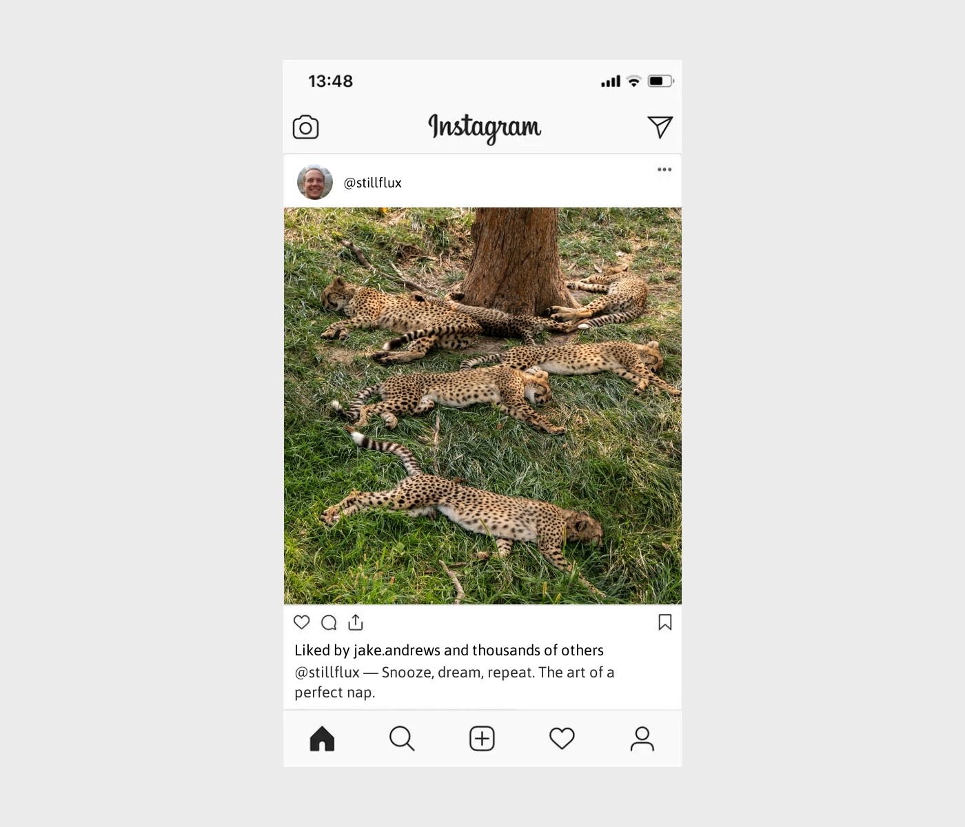 nap-captions-for-instagram