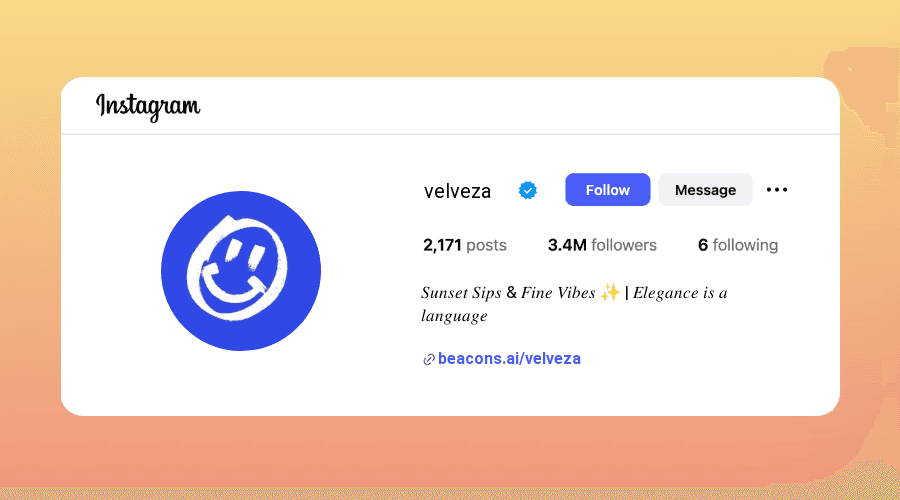 Aesthetic Classy Instagram Bios ideas and examples