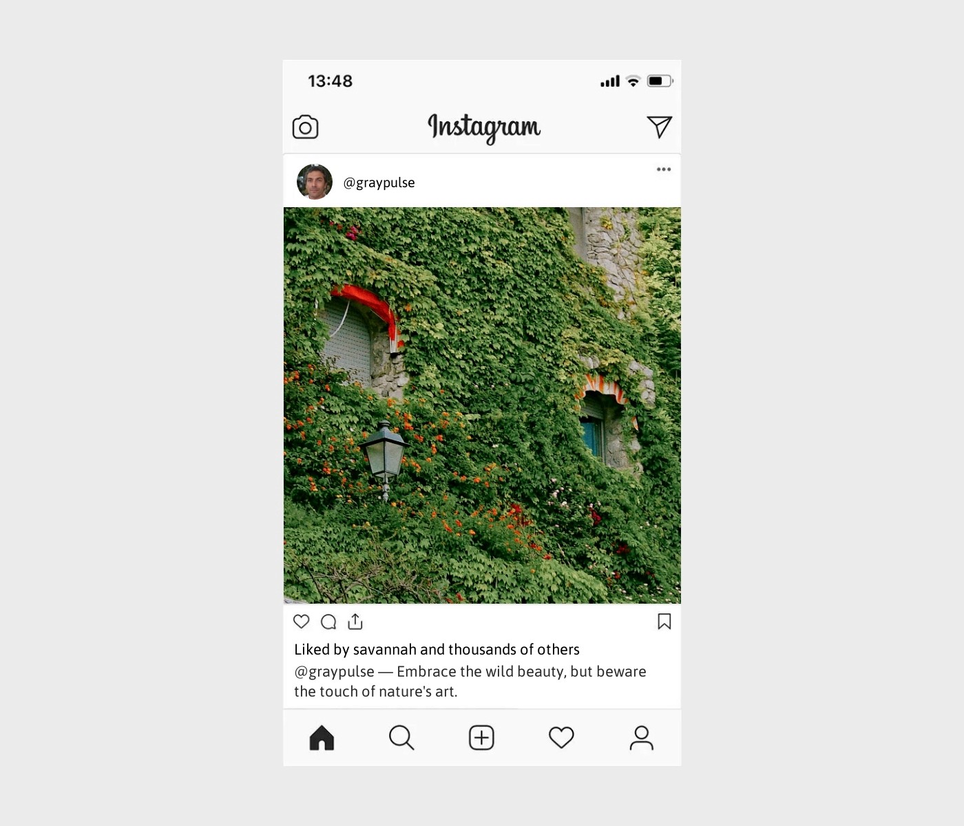 poison-ivy-captions-for-instagram