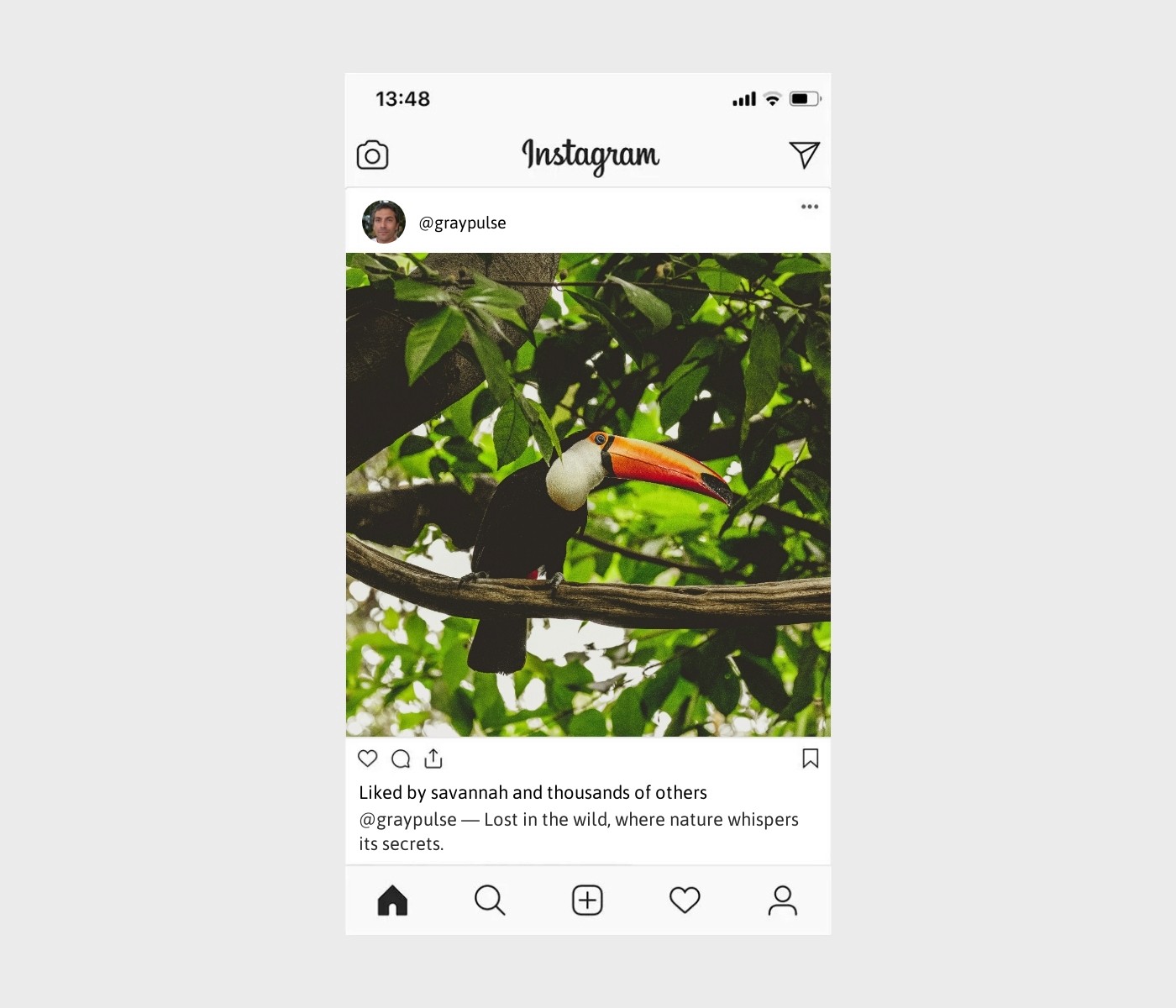 jungle-captions-for-instagram