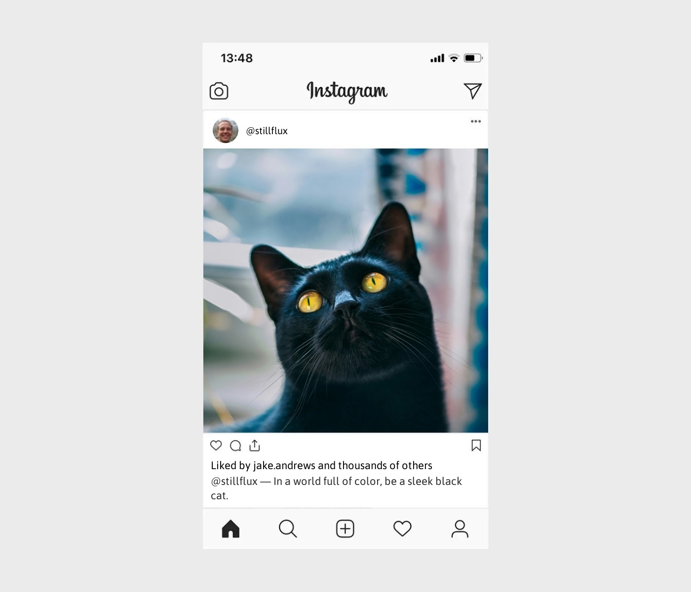 black-cat-caption-for-instagram