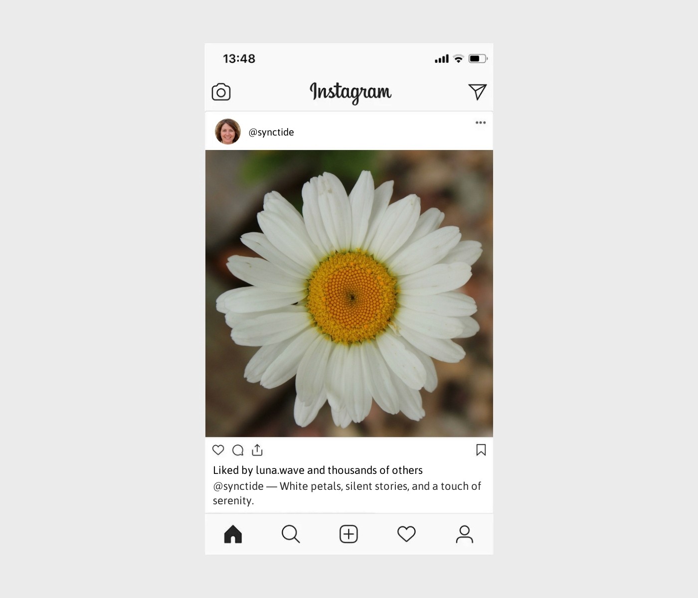 white-flower-captions-for-instagram