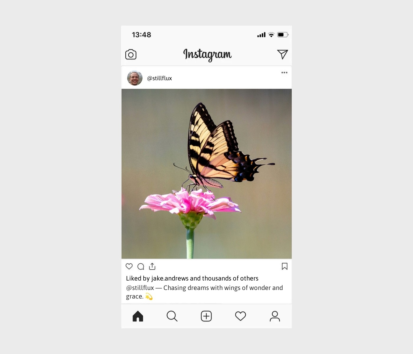 butterfly-captions-for-instagram