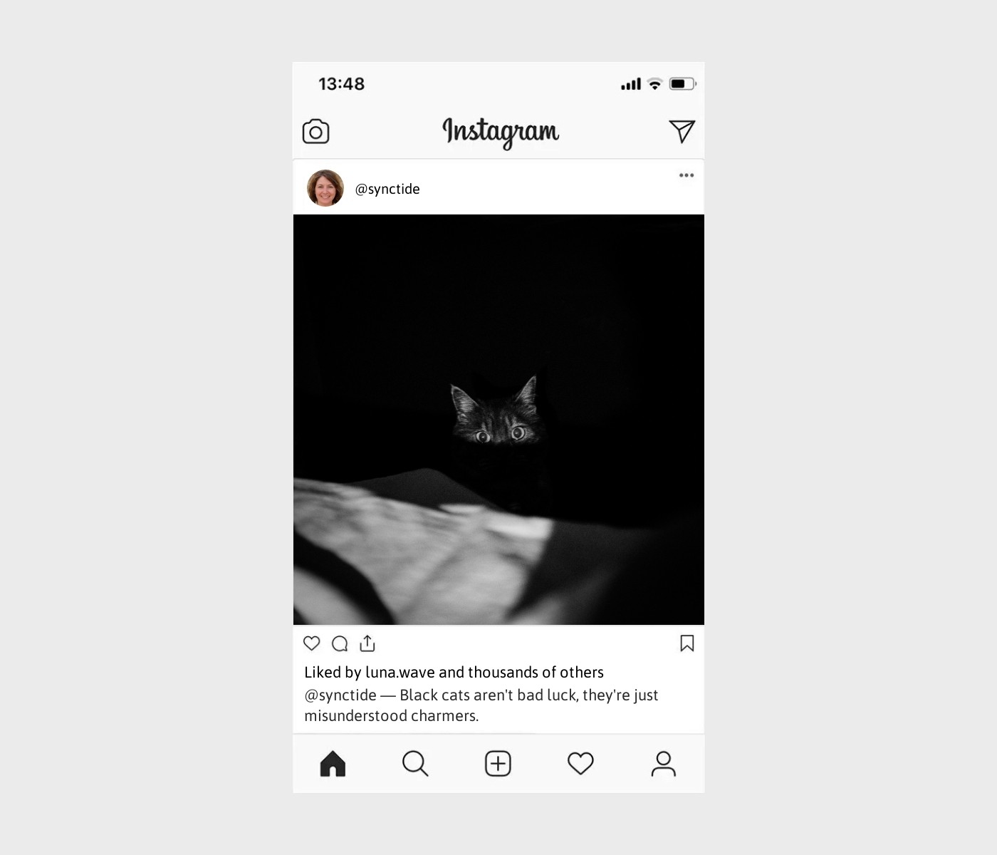 black-cat-caption-for-instagram
