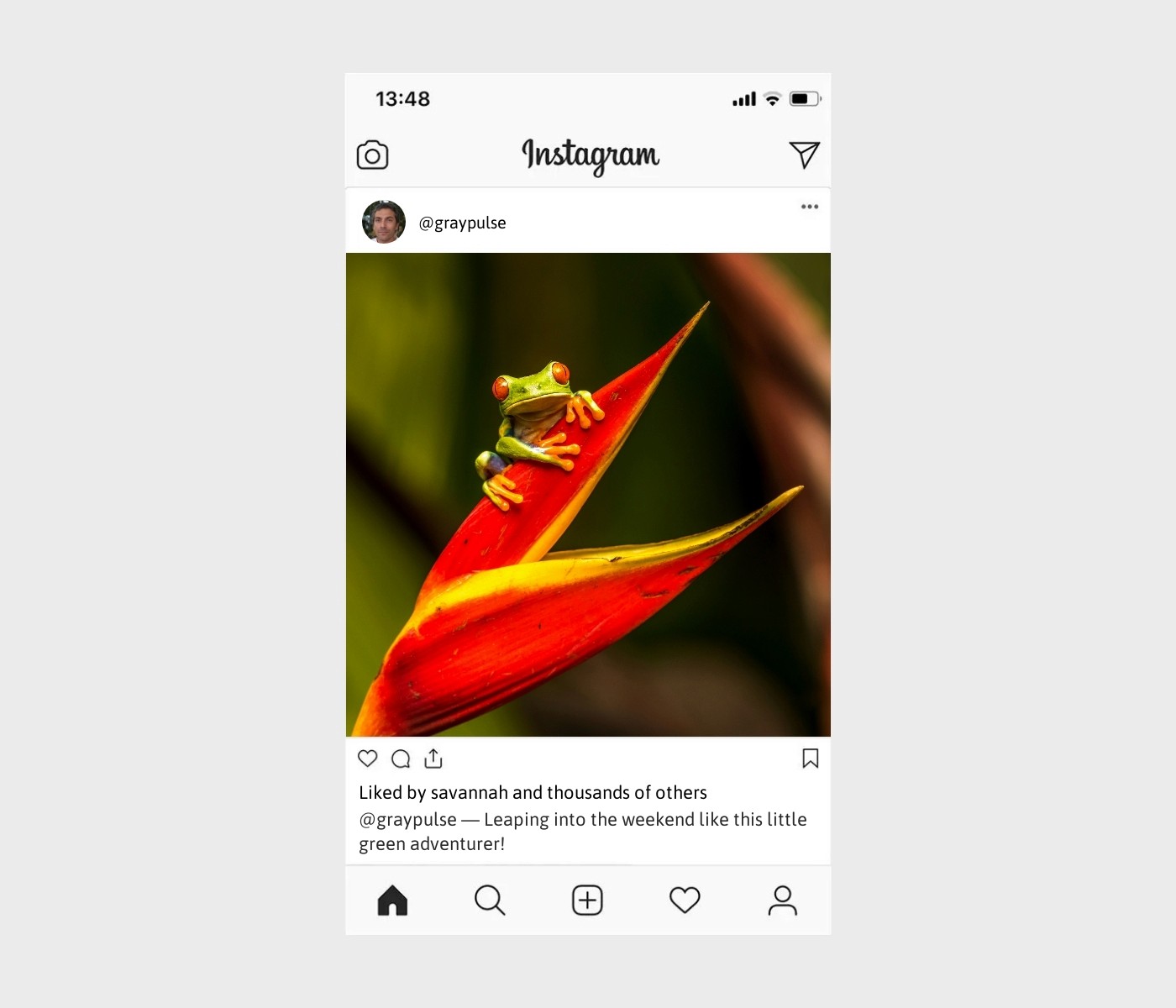 frog-captions-for-instagram